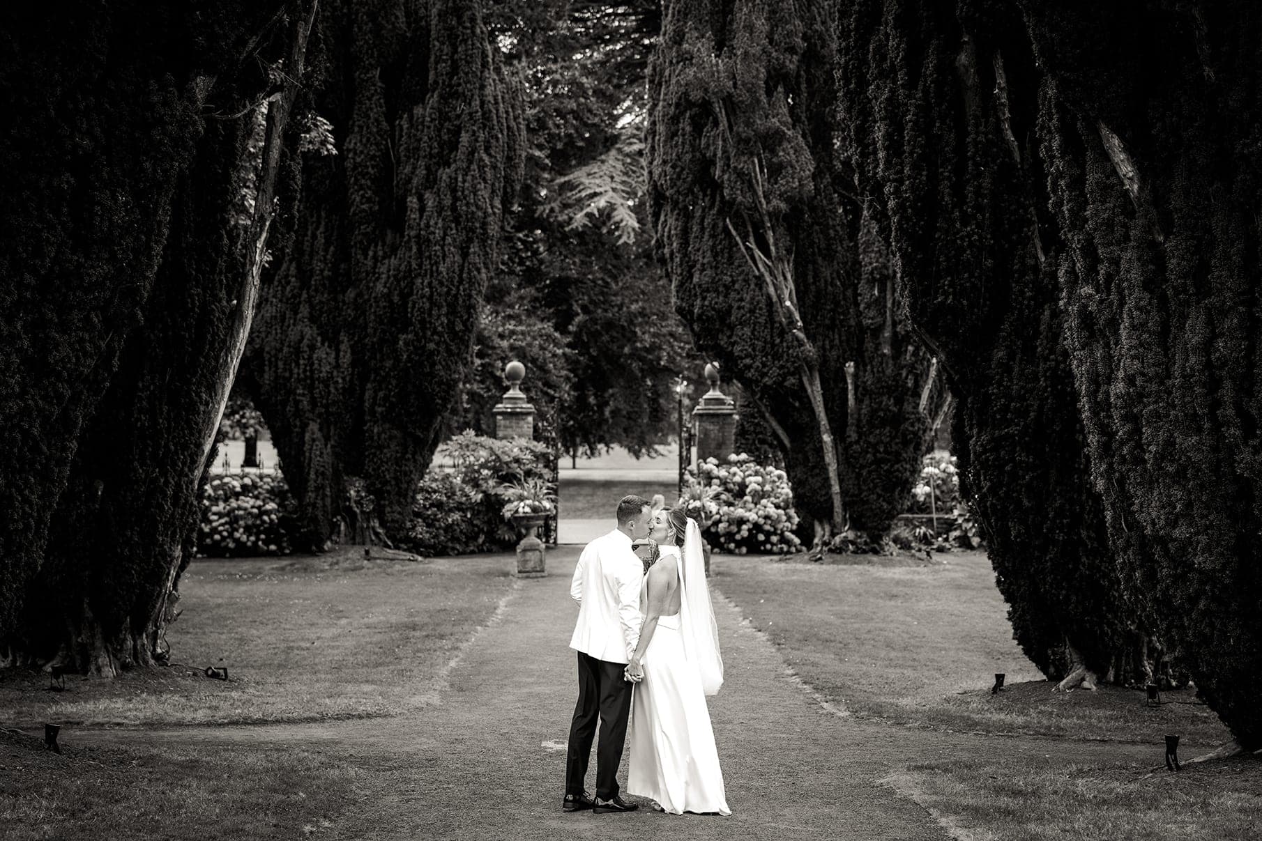 Bride and groom kissing on a path between tall yew trees, in black and white